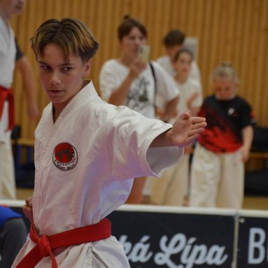 Mistrovství ČR FSKA Funakoshi Cup 2026