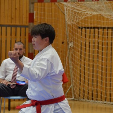 Mistrovství ČR FSKA Funakoshi Cup 2026