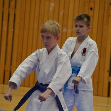 Mistrovství ČR FSKA Funakoshi Cup 2026