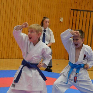 Mistrovství ČR FSKA Funakoshi Cup 2026