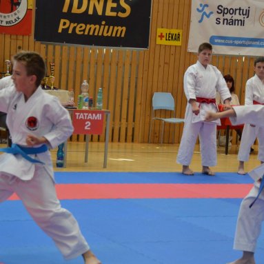 Mistrovství ČR FSKA Funakoshi Cup 2026
