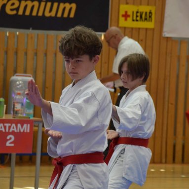 Mistrovství ČR FSKA Funakoshi Cup 2026