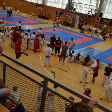 Mistrovství ČR FSKA Funakoshi Cup 2026