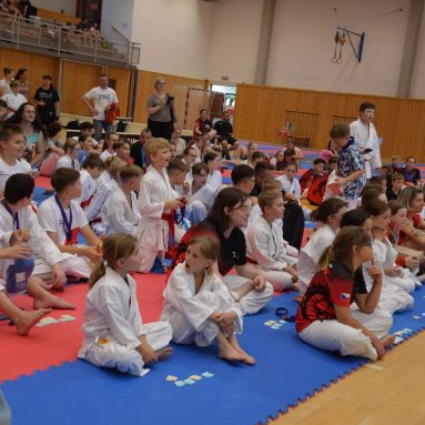 Mistrovství ČR FSKA Funakoshi Cup 2026
