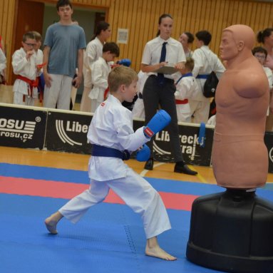Mistrovství ČR FSKA Funakoshi Cup 2026