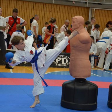 Mistrovství ČR FSKA Funakoshi Cup 2026