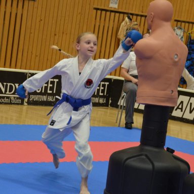 Mistrovství ČR FSKA Funakoshi Cup 2026