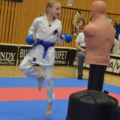 Mistrovství ČR FSKA Funakoshi Cup 2026