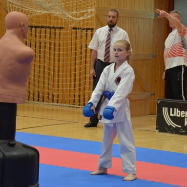 Mistrovství ČR FSKA Funakoshi Cup 2026