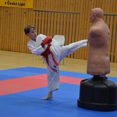 Mistrovství ČR FSKA Funakoshi Cup 2026