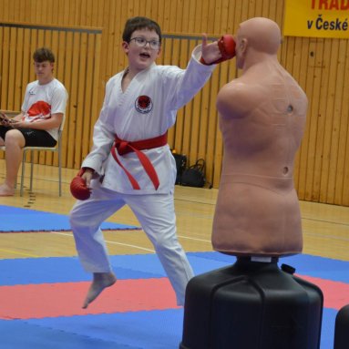 Mistrovství ČR FSKA Funakoshi Cup 2026