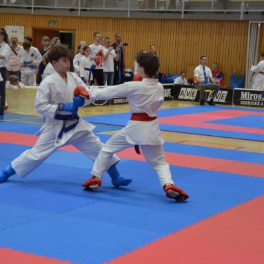 Mistrovství ČR FSKA Funakoshi Cup 2026