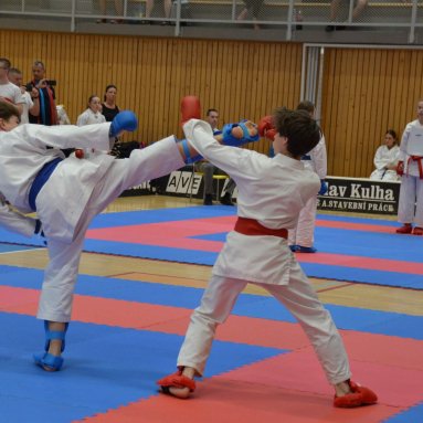 Mistrovství ČR FSKA Funakoshi Cup 2026