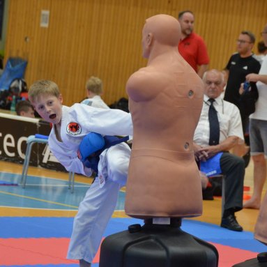 Mistrovství ČR FSKA Funakoshi Cup 2026