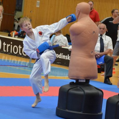 Mistrovství ČR FSKA Funakoshi Cup 2026