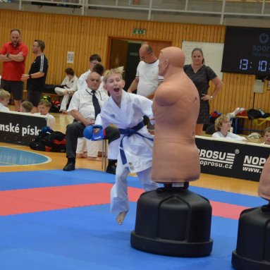 Mistrovství ČR FSKA Funakoshi Cup 2026