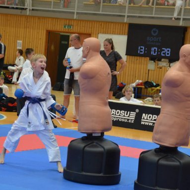 Mistrovství ČR FSKA Funakoshi Cup 2026