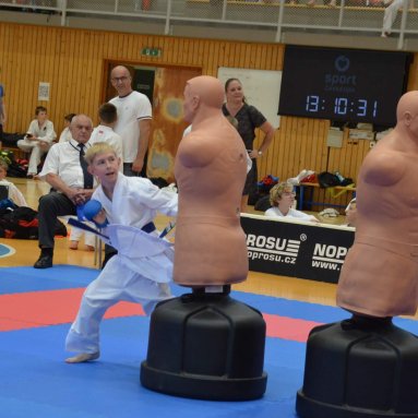 Mistrovství ČR FSKA Funakoshi Cup 2026