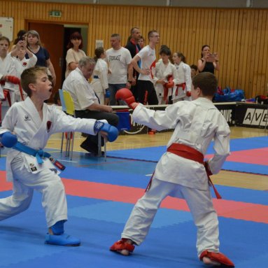 Mistrovství ČR FSKA Funakoshi Cup 2026