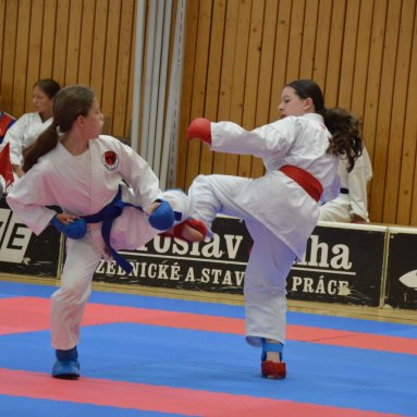 Mistrovství ČR FSKA Funakoshi Cup 2026