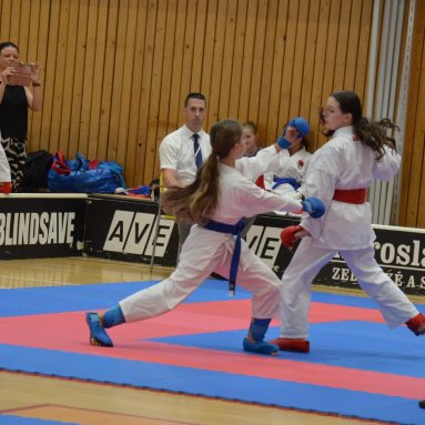 Mistrovství ČR FSKA Funakoshi Cup 2026