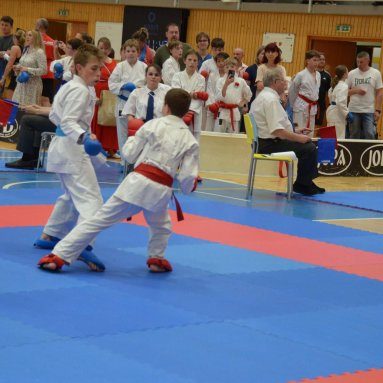 Mistrovství ČR FSKA Funakoshi Cup 2026