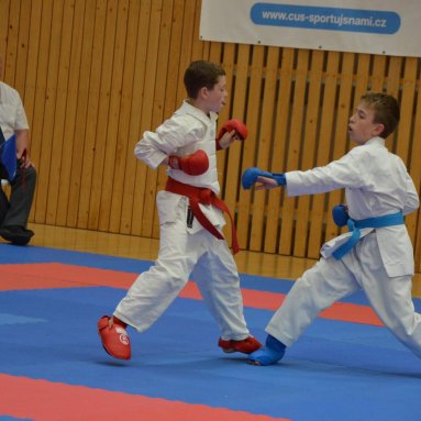 Mistrovství ČR FSKA Funakoshi Cup 2026