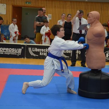 Mistrovství ČR FSKA Funakoshi Cup 2026