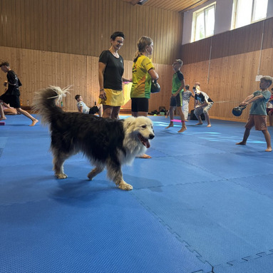 Soustředění Chřibská 2026