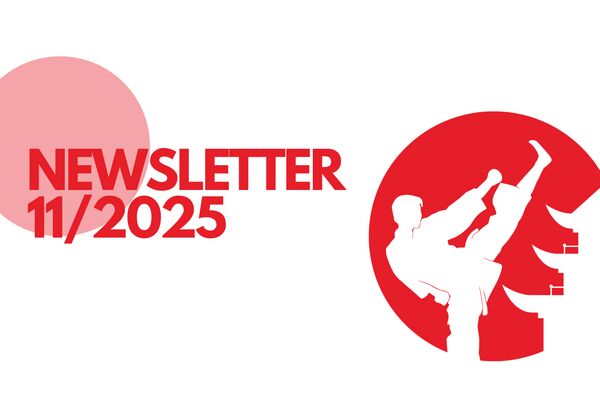 NEWSLETTER 11/2025